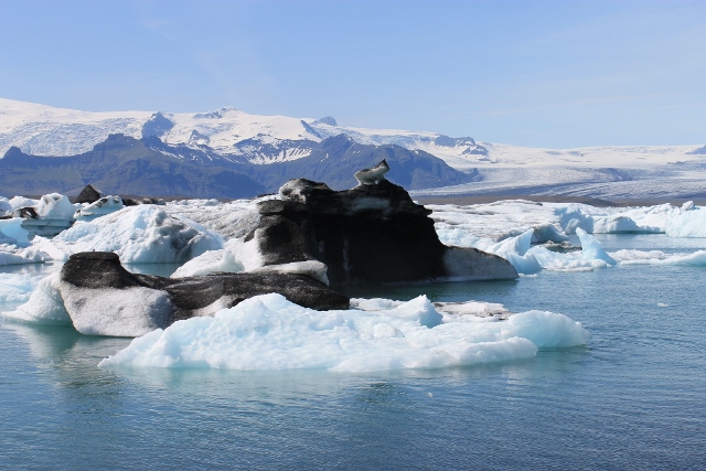 Sea ice