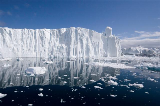 The arctic