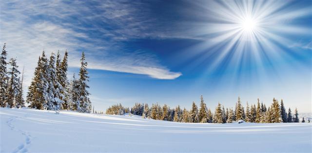 The Arctic landscape