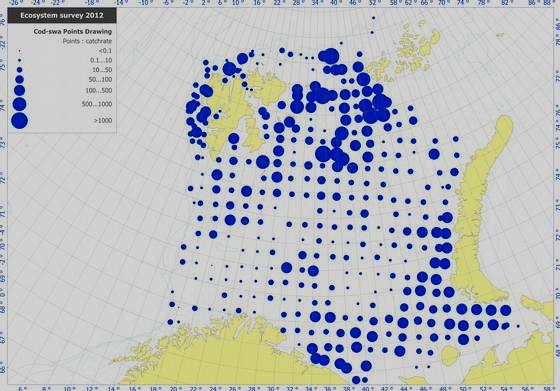 Cod catch rates