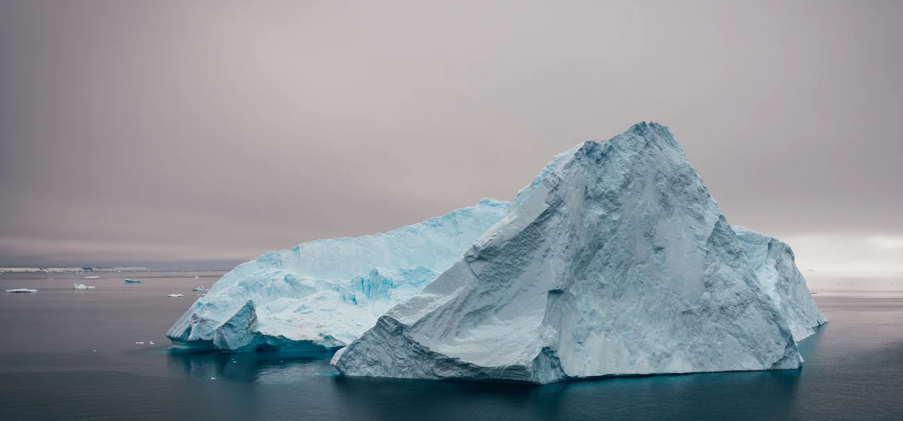 Arctic Portal Donate