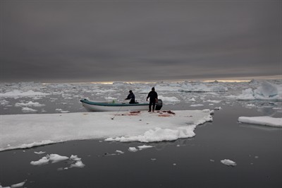 seal hunters
